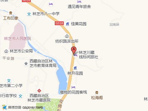 林芝地图